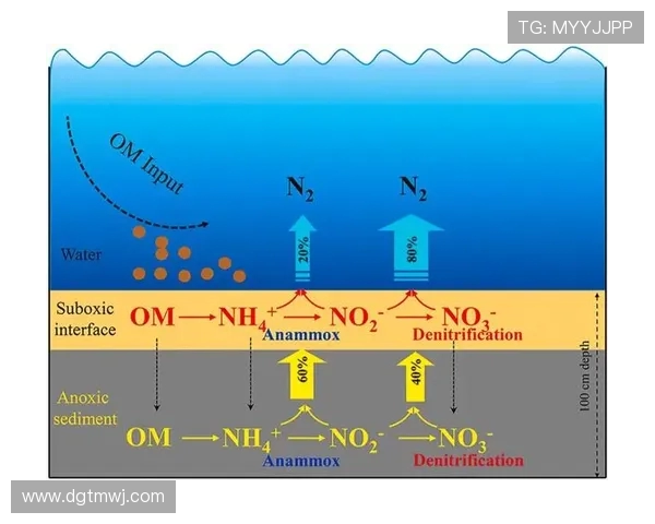 上海排球队运营分析:成功经验与面临挑战的深度探讨 上海排球队运营分析:成功经验与面临挑战的深度探讨