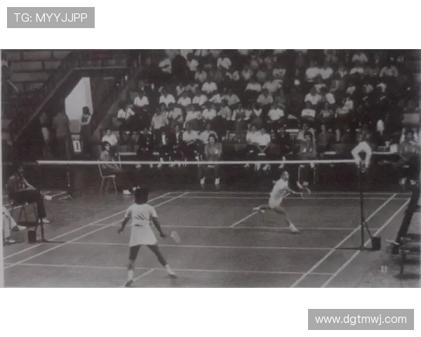 广州羽毛球队耐力表现的数据分析与训练策略探讨