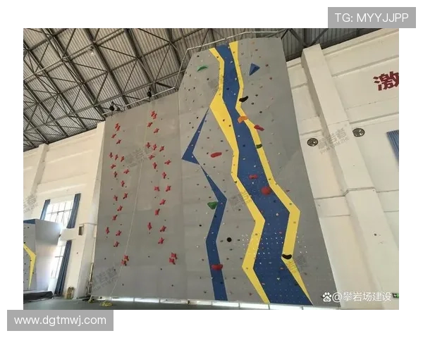 攀岩战术与团队协作：探秘北京攀岩队的高效运营体系