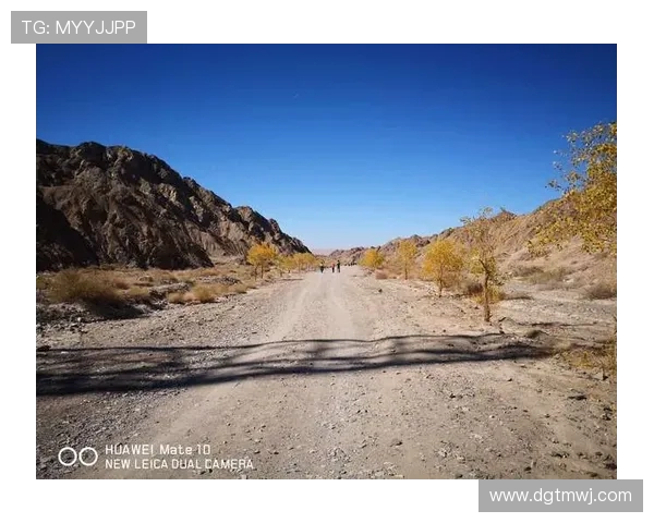 陈秀英的和平精英之路:从新手到职业选手的成长与挑战 陈秀英的和平精英之路:从新手到职业选手的成长与挑战