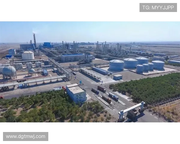 新疆广汇产业布局与发展战略全面解析探索未来机遇与挑战